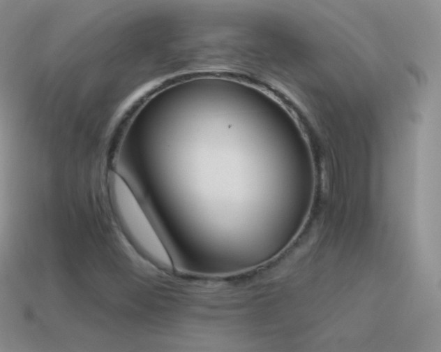 X0000114521452200910191144