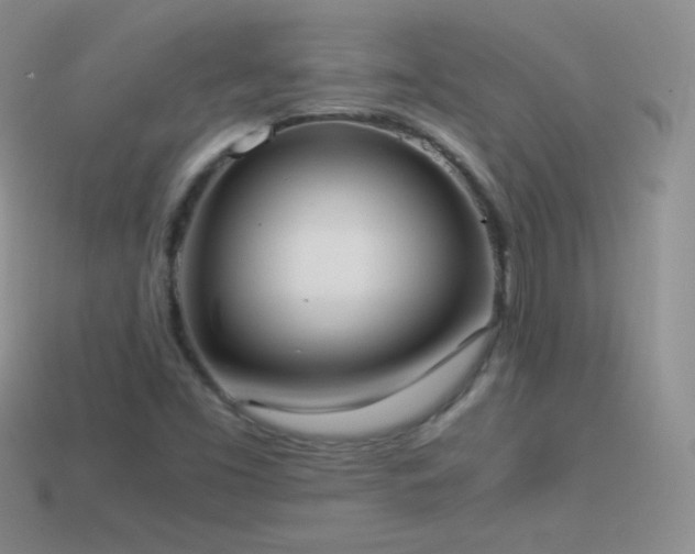 X0000114521453200910191144