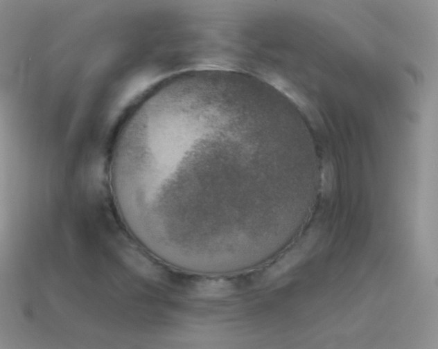 X0000114521454200910191144