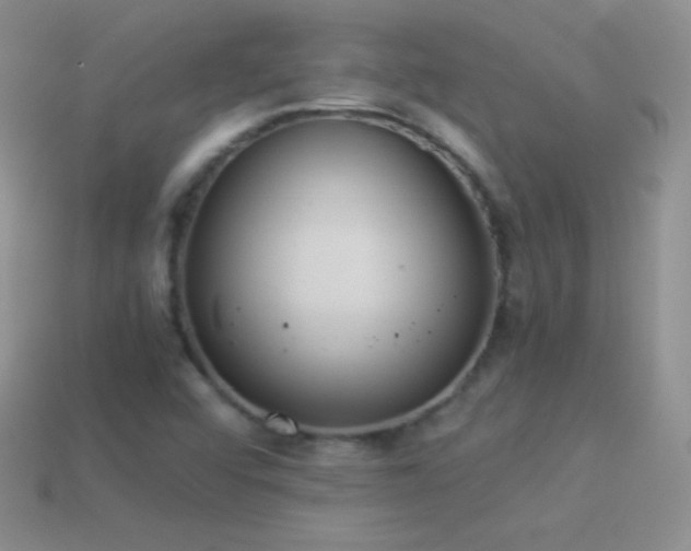 X0000114521456200910191144