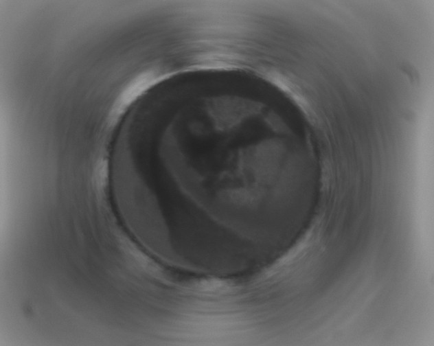 X0000114521459200910191144