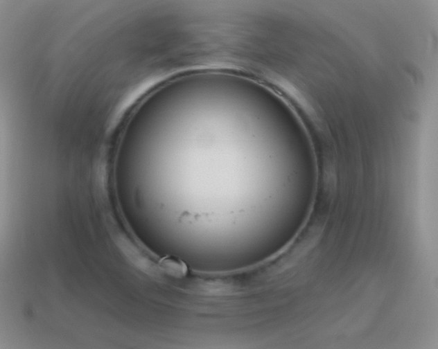 X0000114521460200910191144