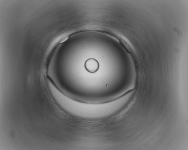 X0000114521461200910191144