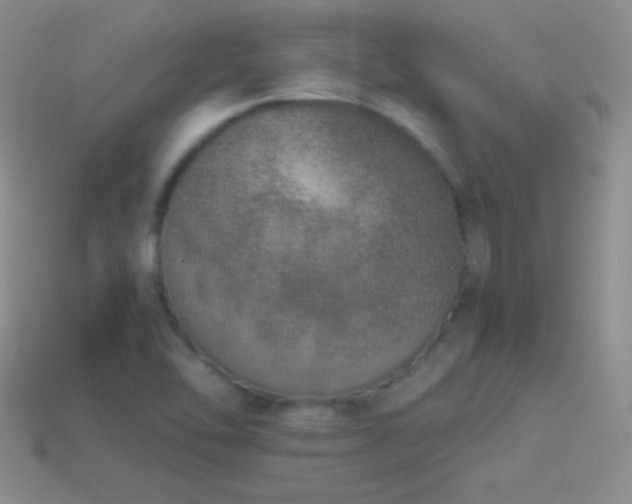 X0000114521462200910191144