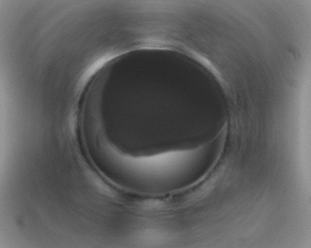 X0000114521463200910191144