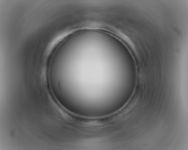X0000114521464200910191144