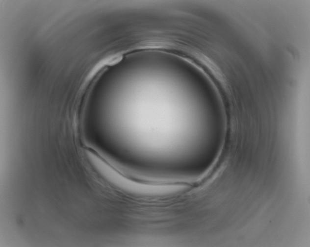 X0000114521465200910191144
