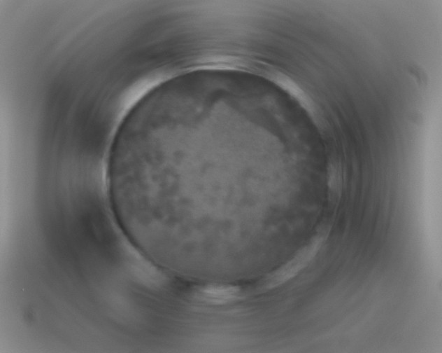X0000114521466200910191144