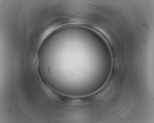 X0000114521467200910191144