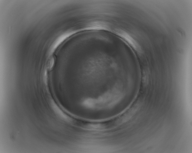 X0000114521468200910191144