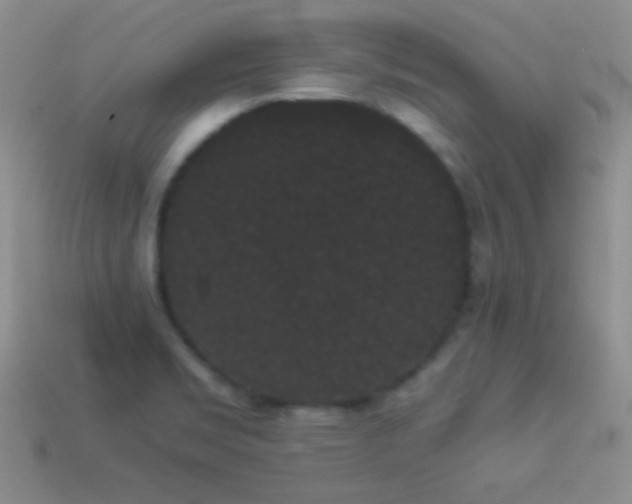 X0000114521469200910191144