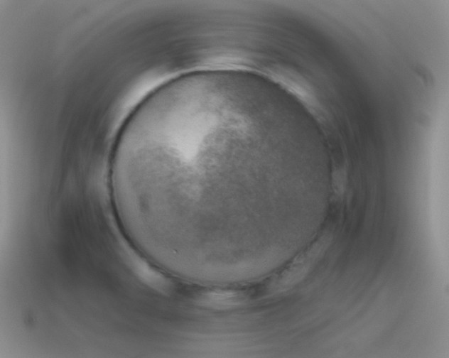 X0000114521470200910191144