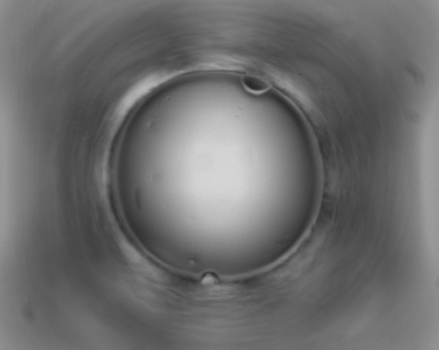 X0000114521471200910191144