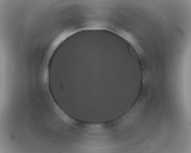 X0000114521472200910191144