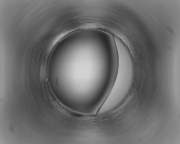 X0000114521473200910191144