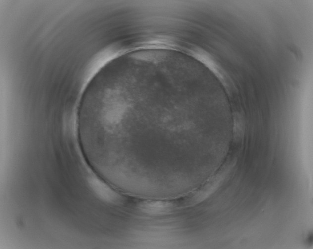 X0000114521474200910191144