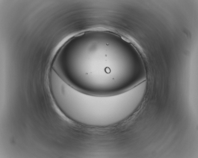X0000114521476200910191144