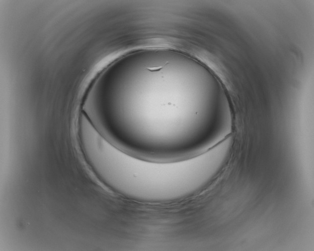 X0000114521477200910191144