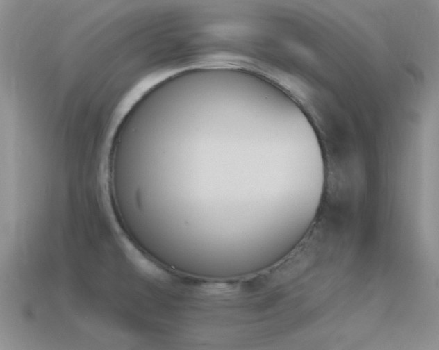 X0000114521478200910191144