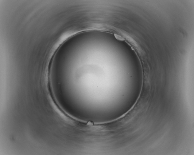 X0000114521479200910191144