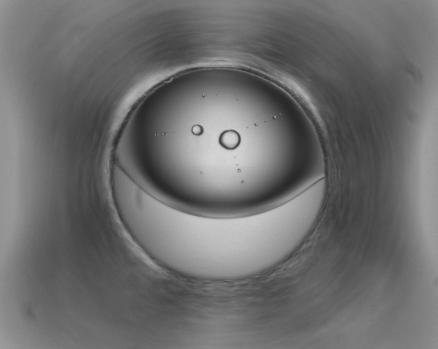 X0000114521480200910191144