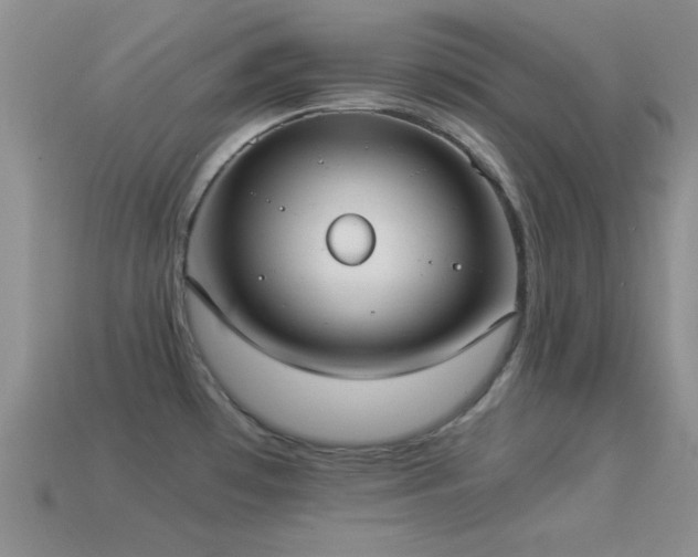 X0000114521481200910191144