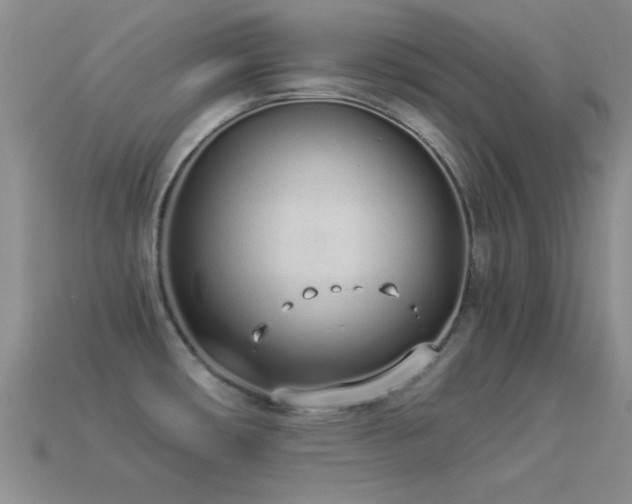 X0000114521482200910191144