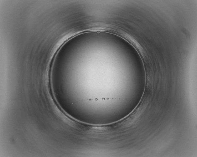 X0000114521483200910191144