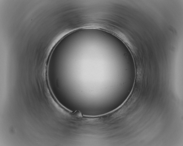 X0000114521484200910191144