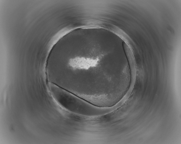 X0000114521485200910191144