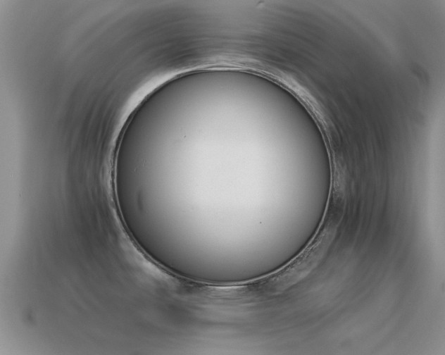X0000114521486200910191144