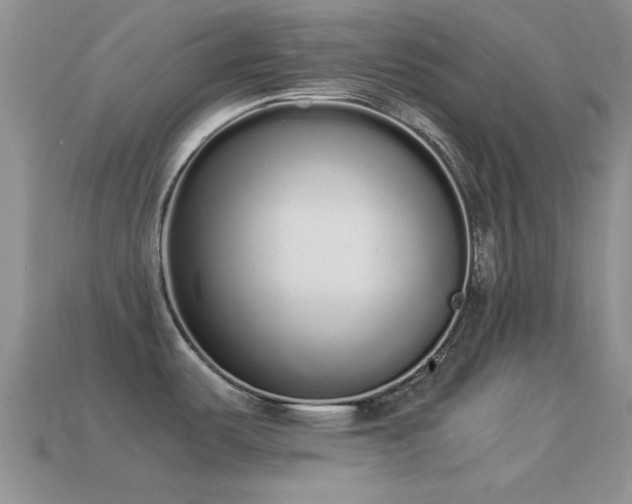 X0000114521487200910191144