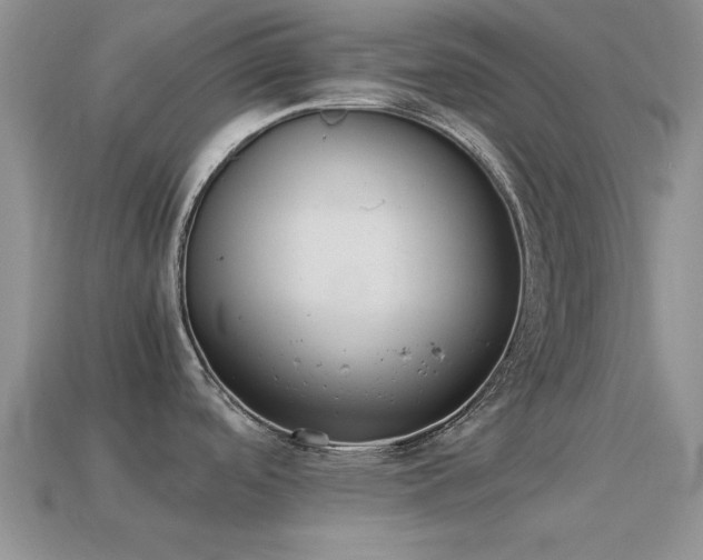 X0000114521488200910191144