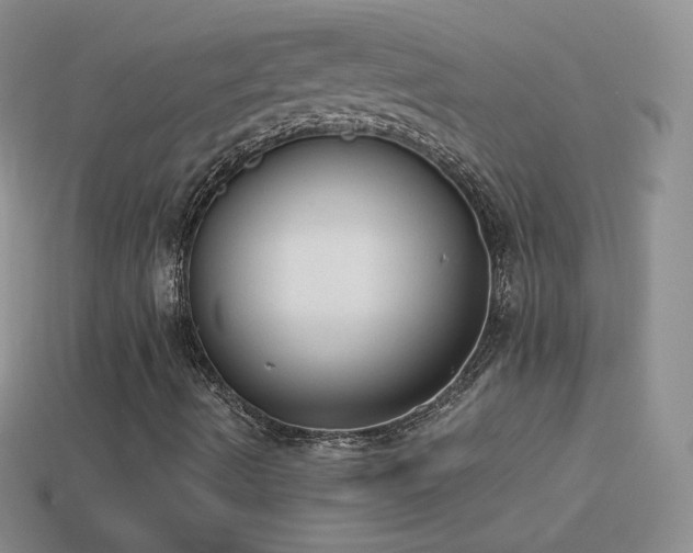 X0000114521490200910191143