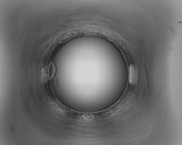 X0000114521491200910191143