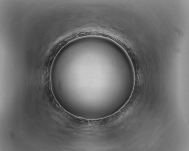 X0000114521494200910191143
