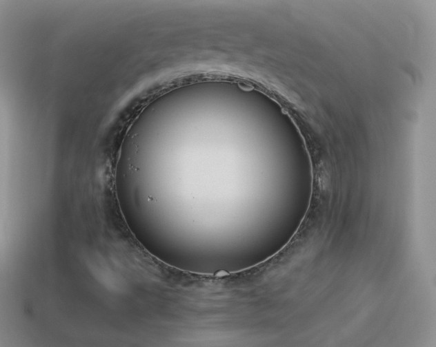 X0000114521495200910191143