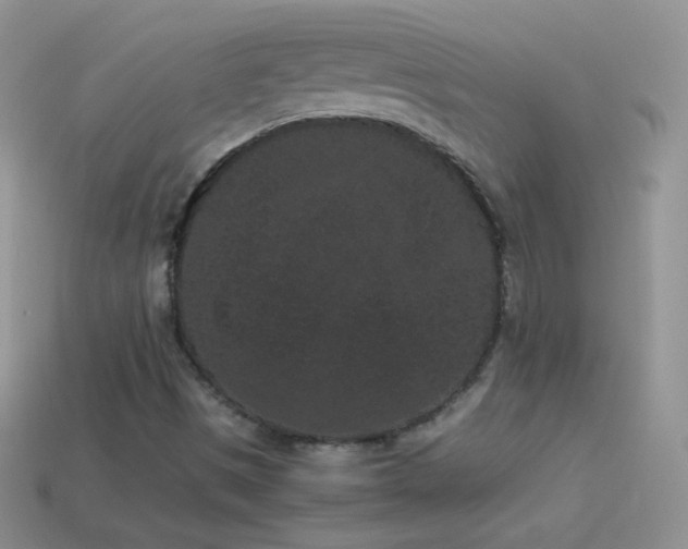 X0000114521497200910191143
