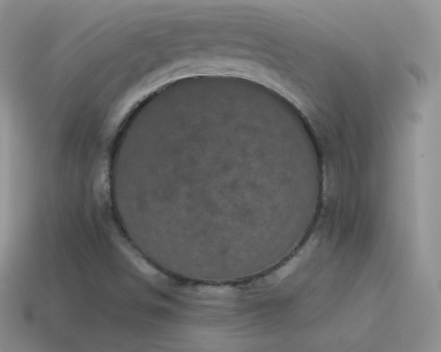 X0000114521498200910191143