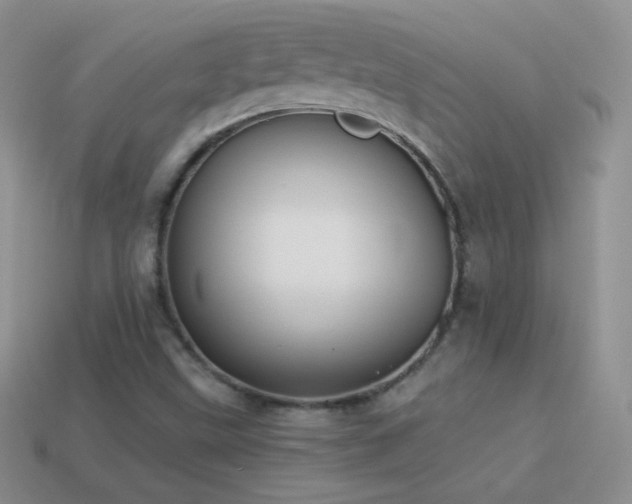 X0000114521499200910191143
