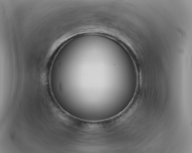 X0000114521501200910191143