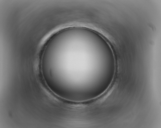 X0000114521502200910191143