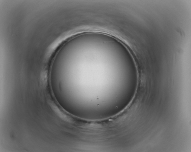 X0000114521503200910191143