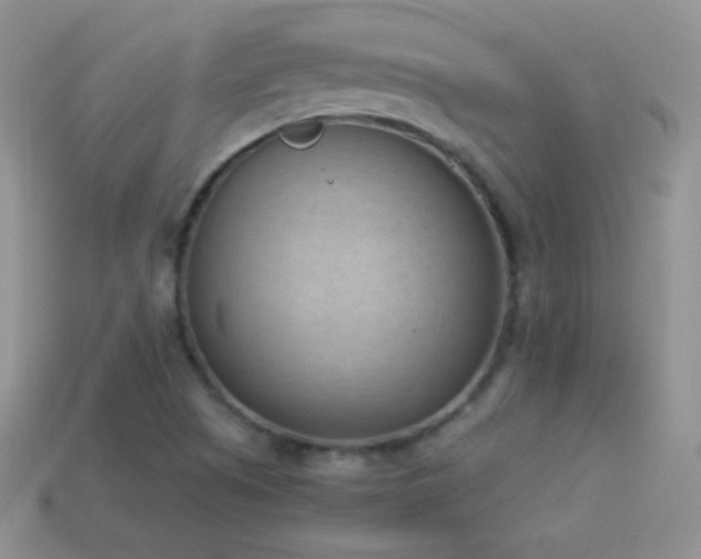 X0000114521505200910191143