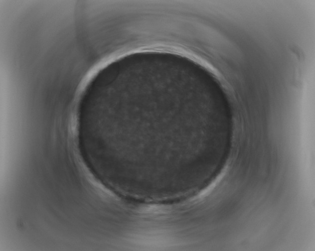 X0000114521506200910191143