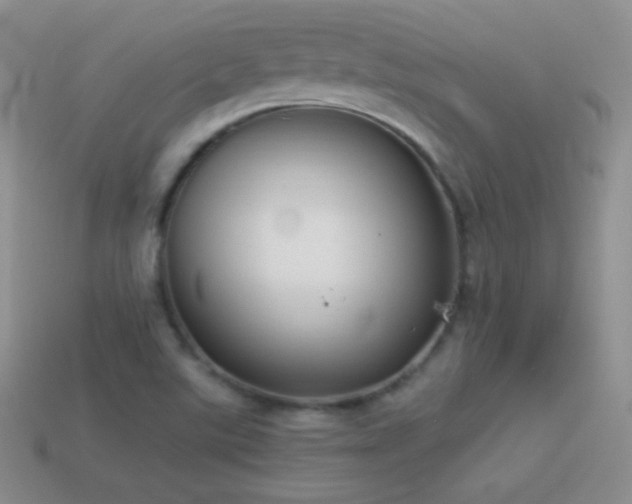X0000114521507200910191143