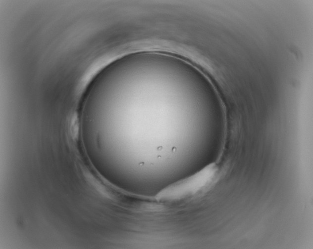 X0000114521509200910191144