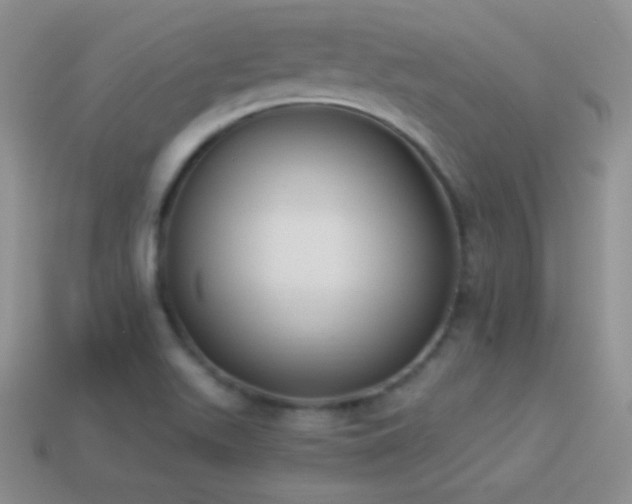 X0000114521511200910191144