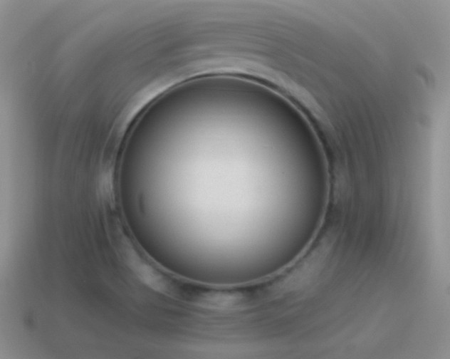 X0000114521513200910191144