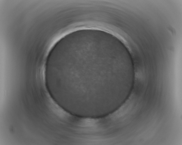 X0000114521514200910191144